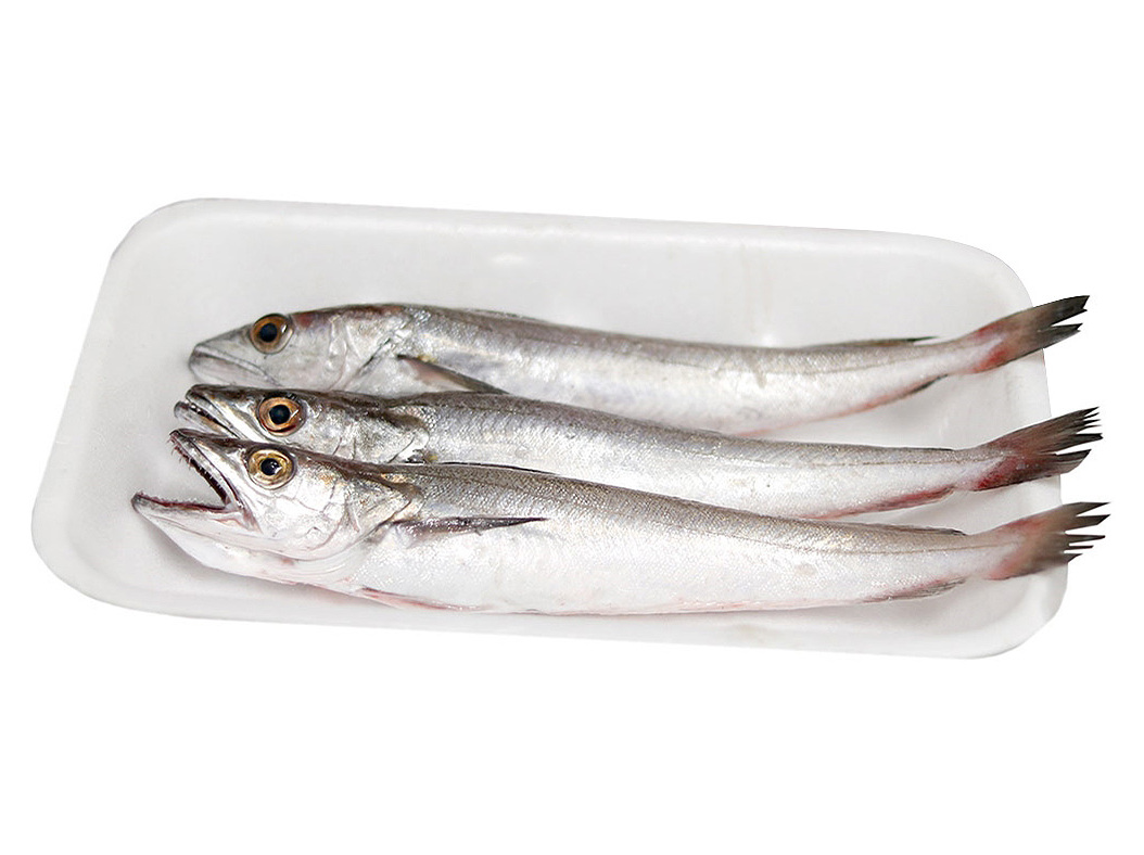 PESCADA PEQUENA KG