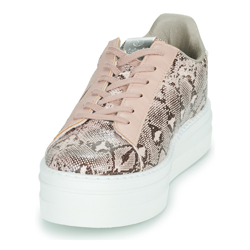 Victoria -  - Rose