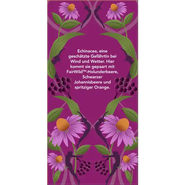 Bio-Früchte-Kräutertee Holunderbeere & Echinacea, mit Echinacea und dunkelroten Beeren