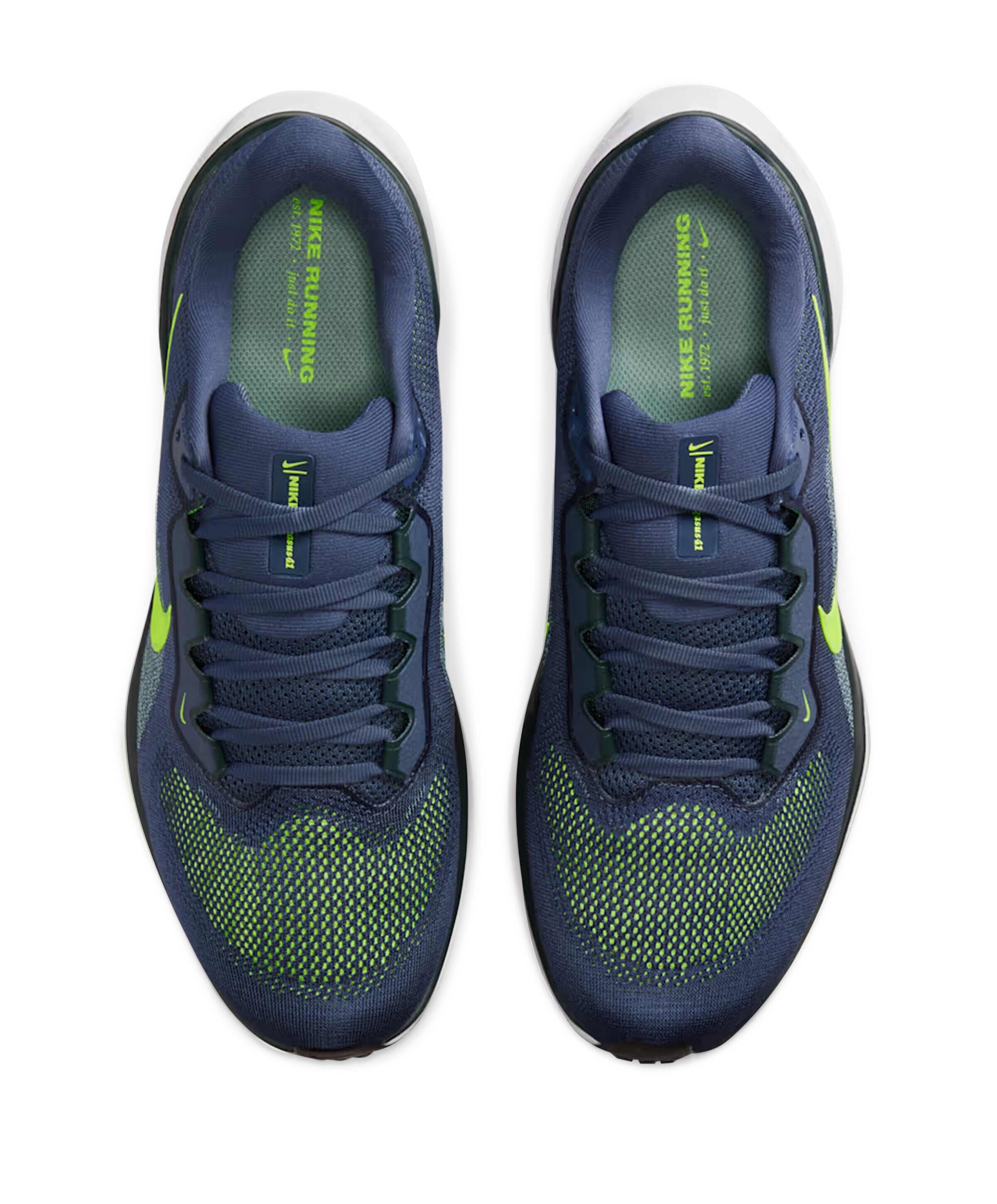 Nike Nike Pegasus 41 Men's Road Running heren runningschoenen paars