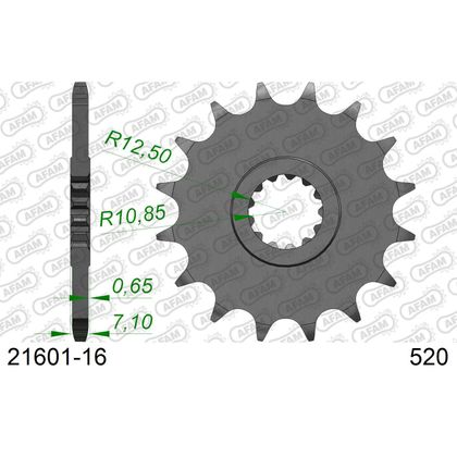 Kit chaine AFAM 520 Type Acier origine