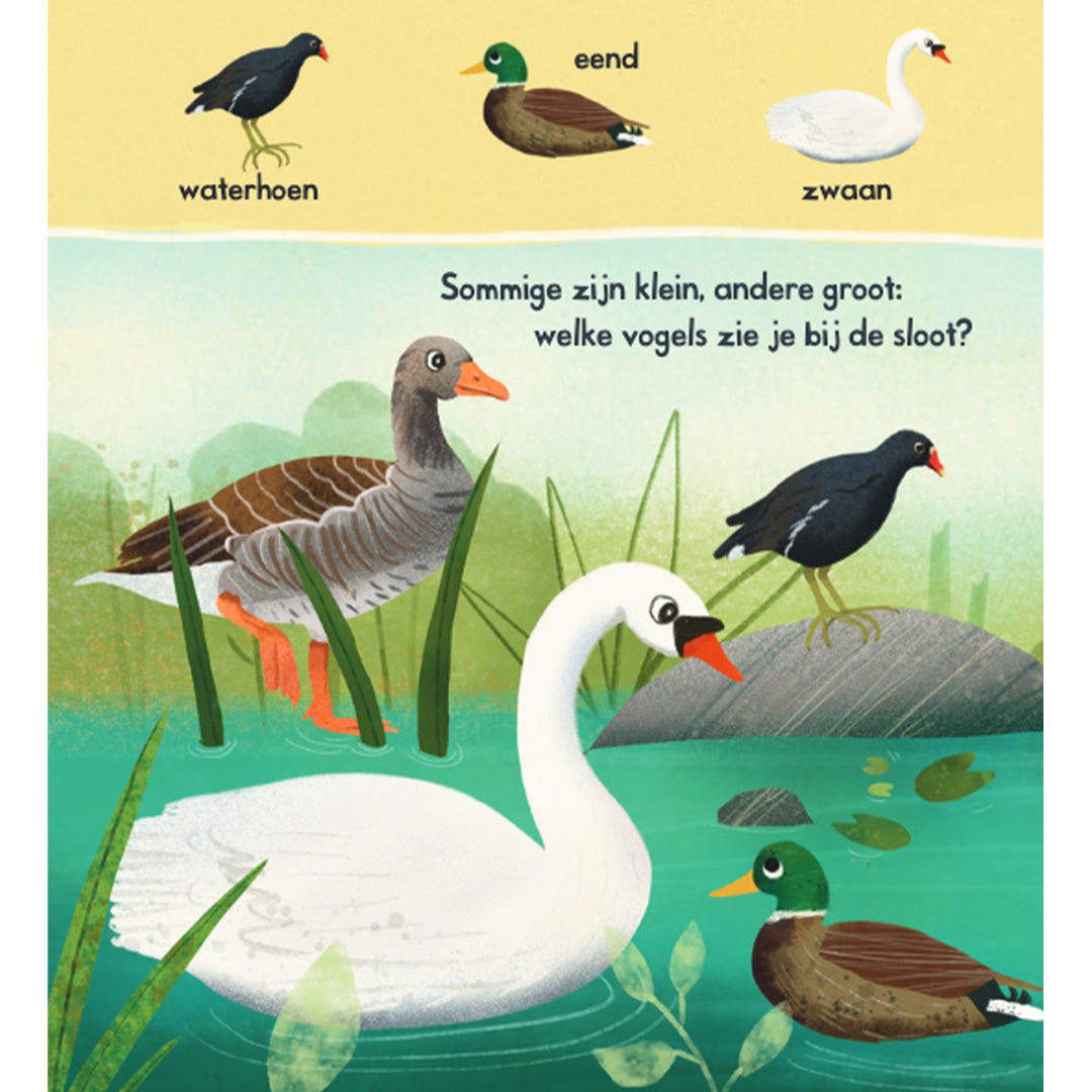 uitgeverij lemniscaat welke vogels zie jij?