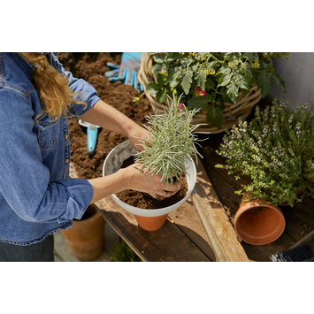 Gardena ClickUp! flowerbowl