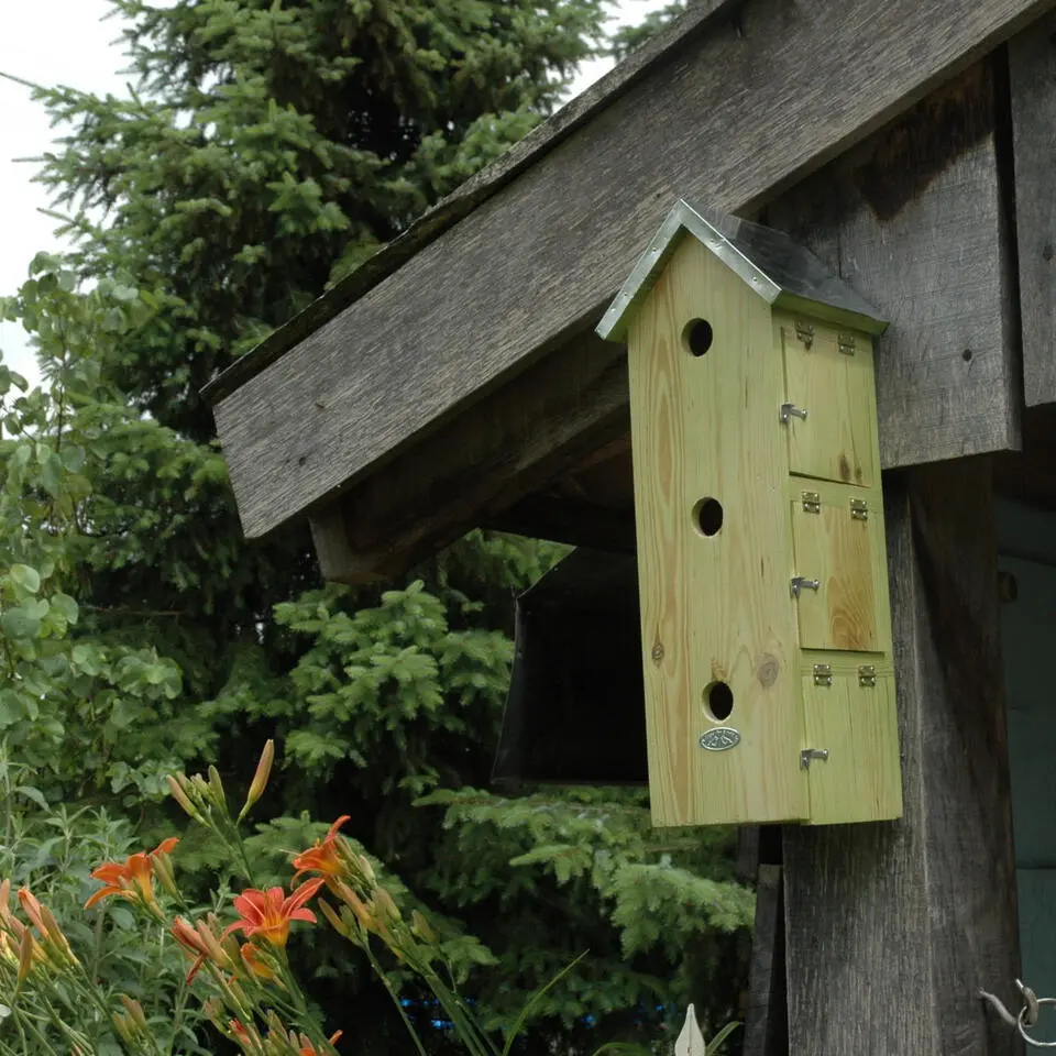 Best for Birds Vogelhuisje - mussenflat - hout - 51 x 19 cm