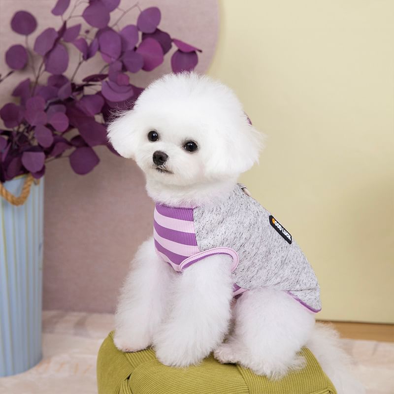 Cissilli - Gestreept Paneel Pet Top