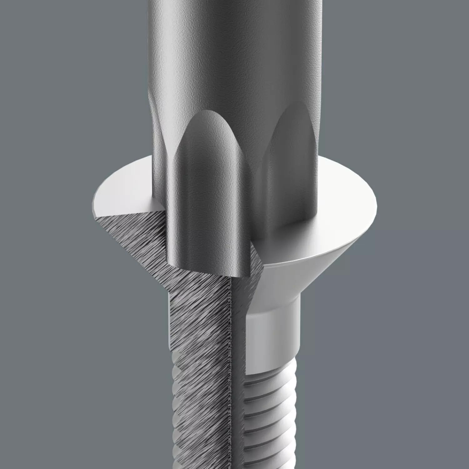 Wera 05150103001 9712 14-delige Torx HF Schroevendraaierset in schuimstof inleg