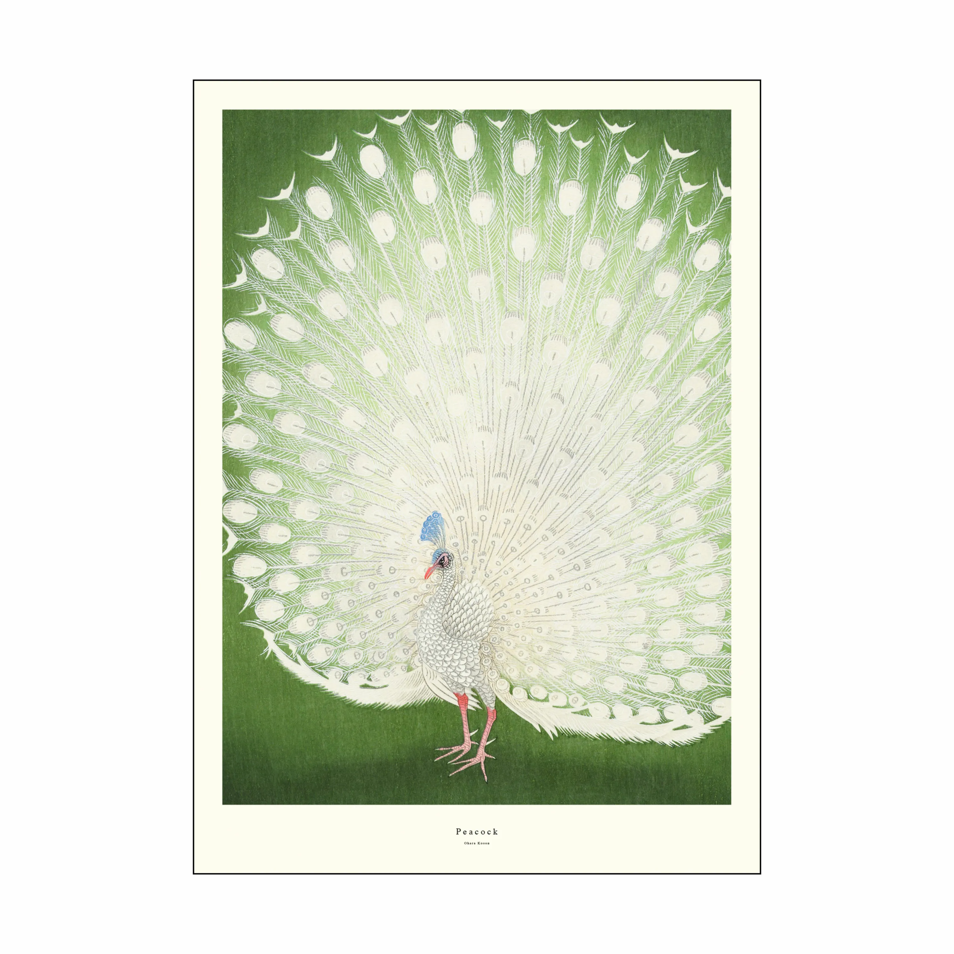 Poster&Frame Plakat - Peacock