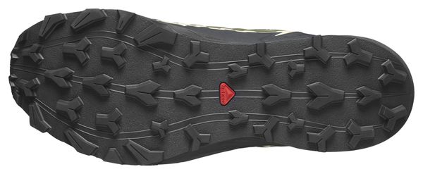 Chaussures de Trail Salomon Thundercross Gore-Tex Khaki/Noir