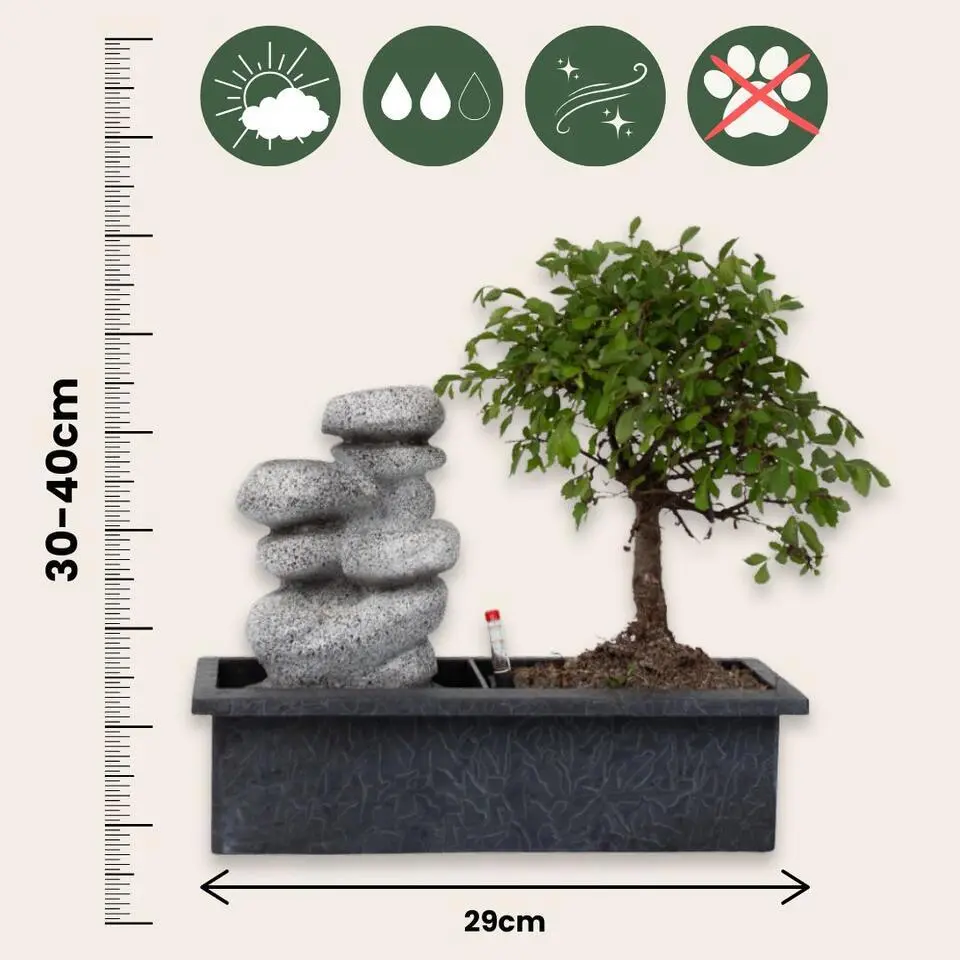 Bonsai met waterval - Set van 2 - Bonsai - Hoogte 25-35cm - ⌀29cm