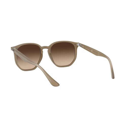 Ray Ban RB4306 Solbriller, Brun