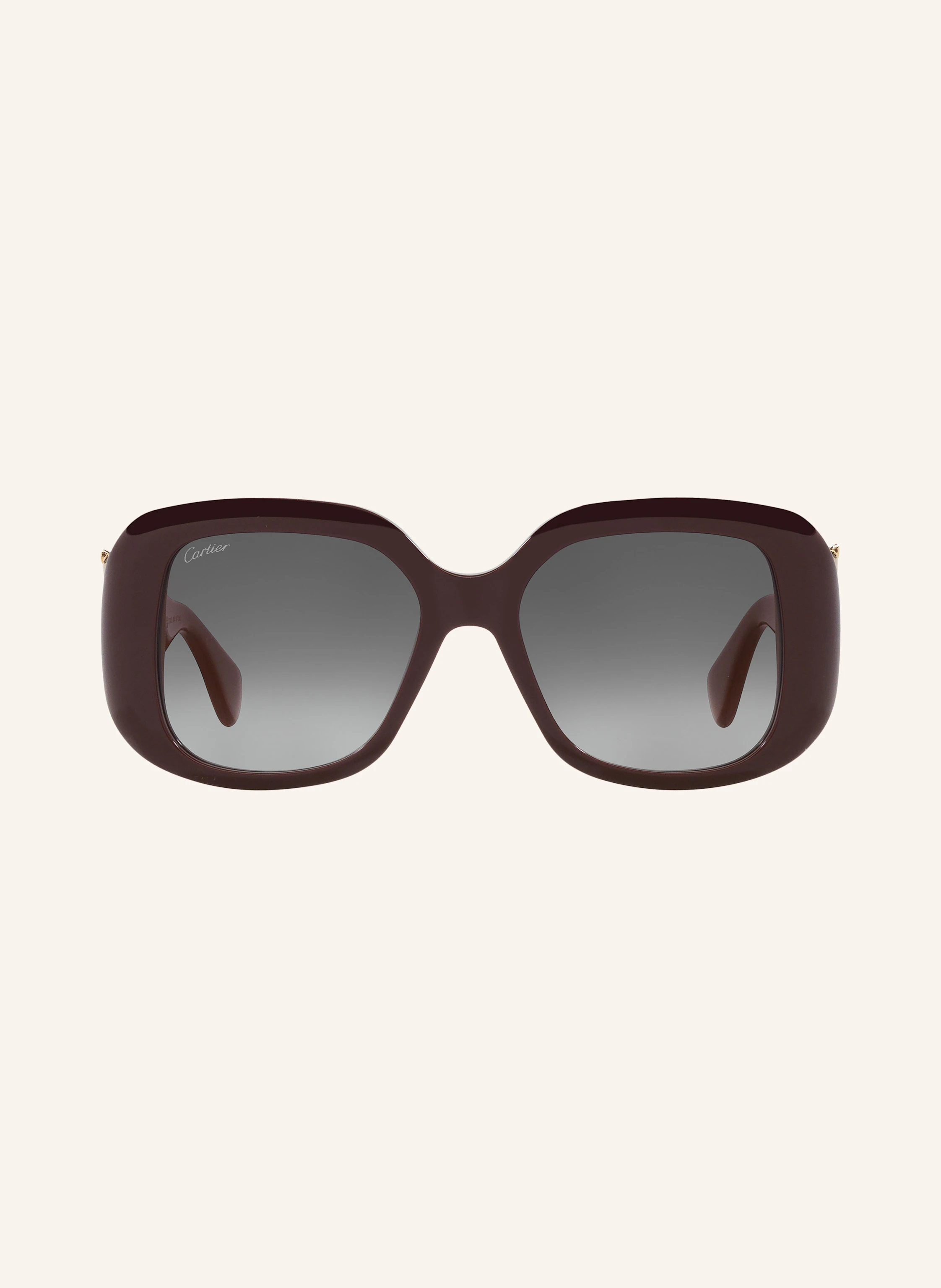 Cartier Sonnenbrille 6L001731