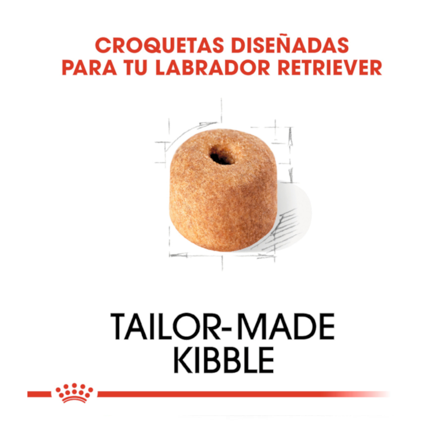 Ração Royal Canin Adult para cães da raça Labrador Retriever