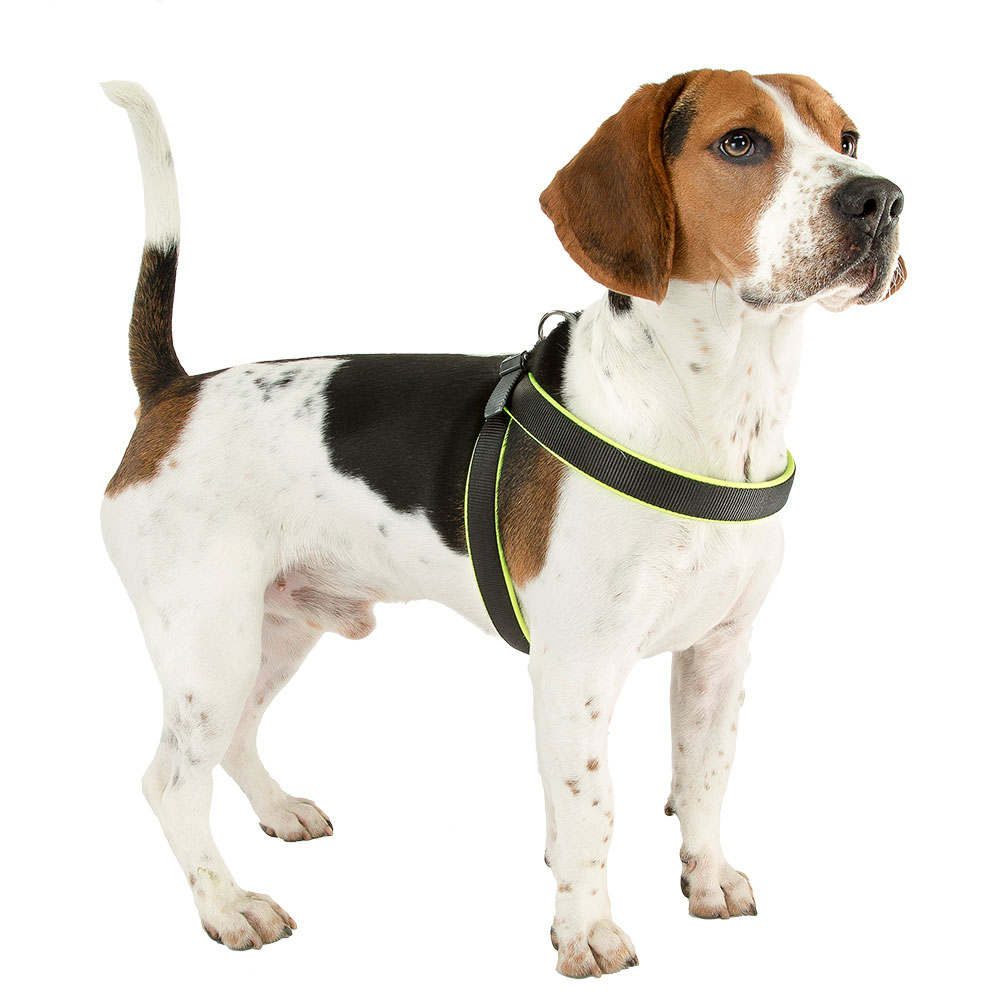 Ferplast harnais ergonomique pour chiens agila fluo 7, ajustement parfait, fermeture à double micro-régulation, rembourrage