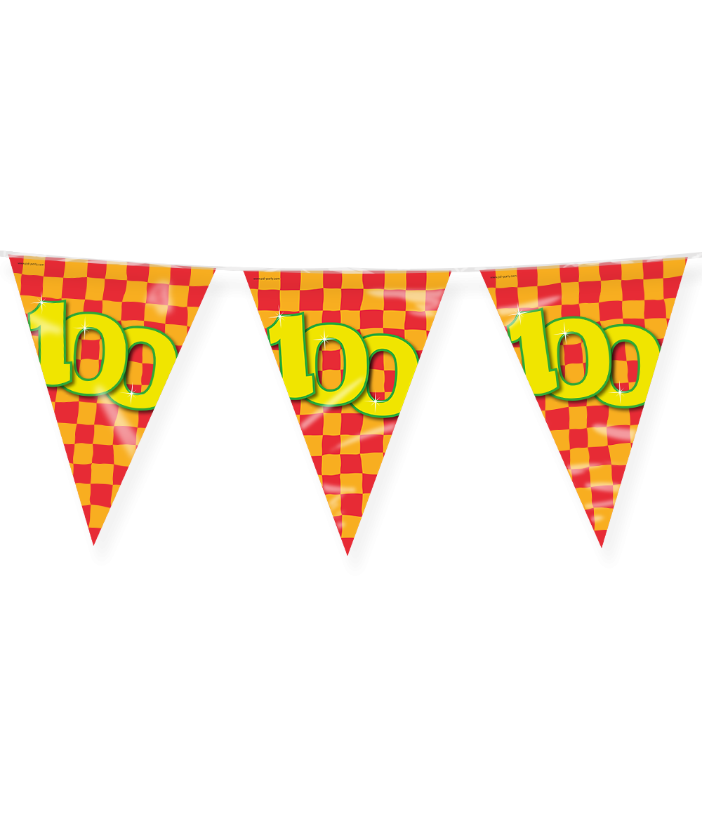 Vlaggenlijn 100 Jaar Gekleurd 10m