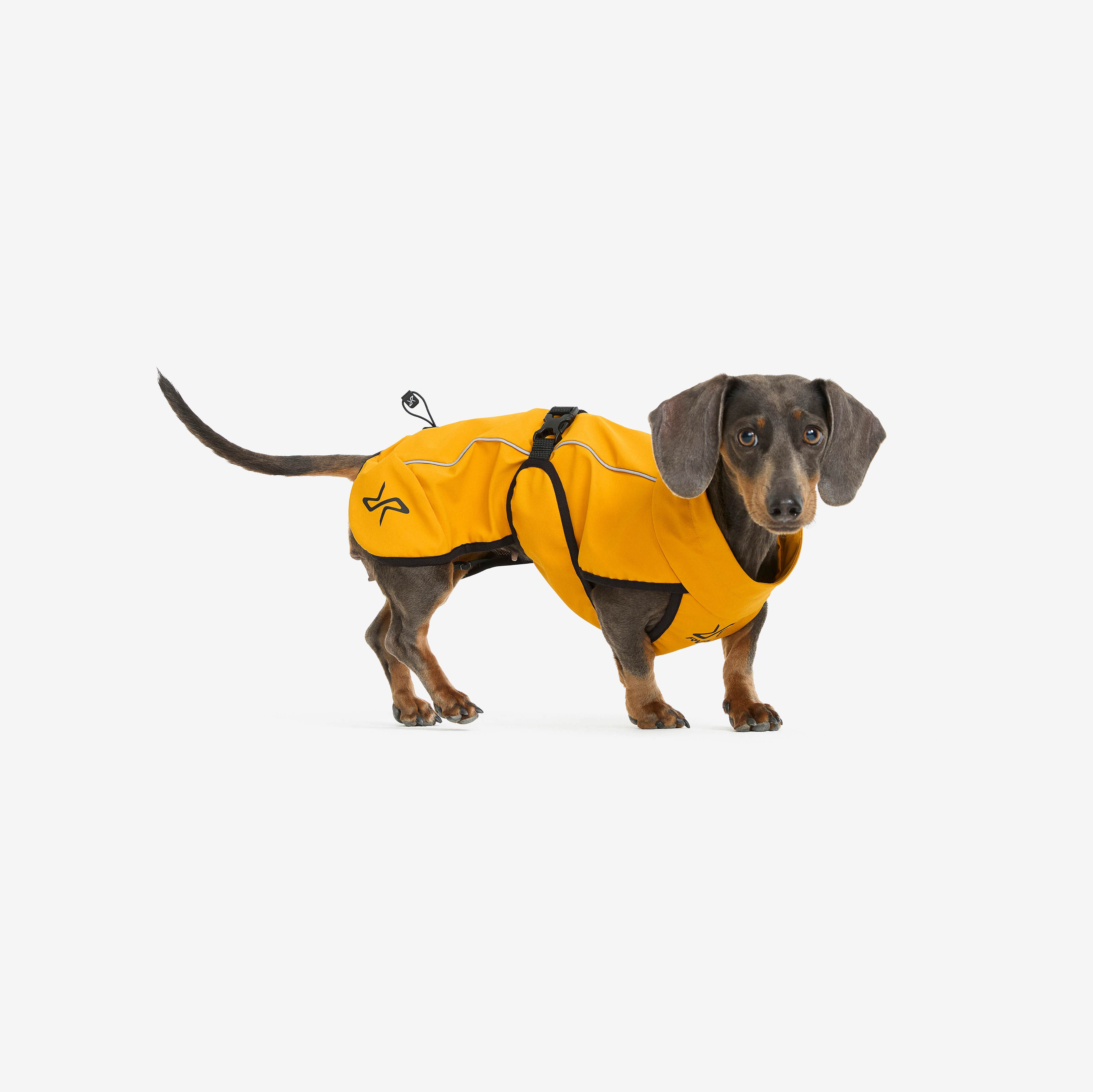 Cyclone Dog Jacket Hund Golden Yellow