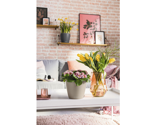 Lechuza Classico Color bloempot Ø 18 cm zandbruin