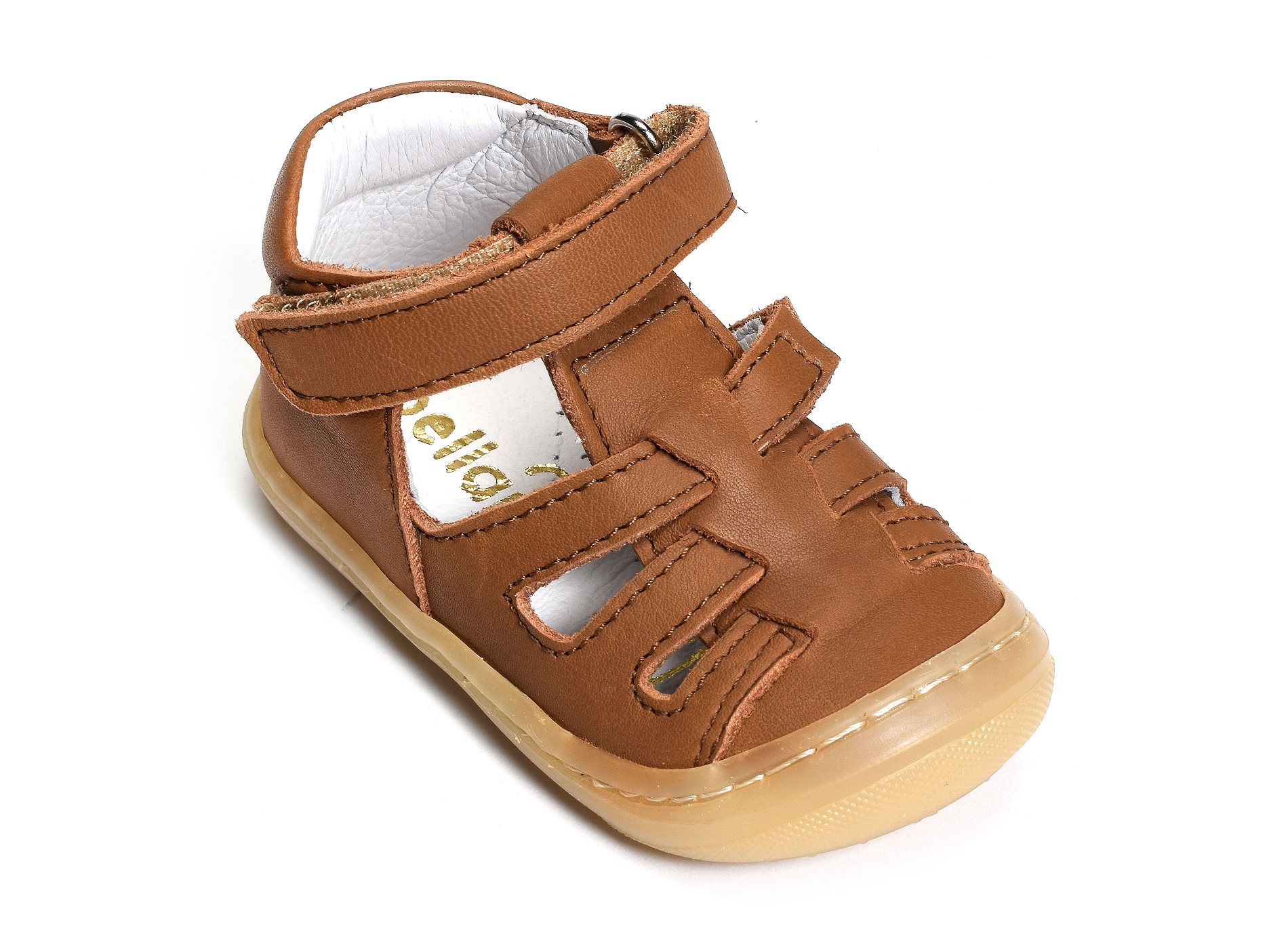 Lopp camel