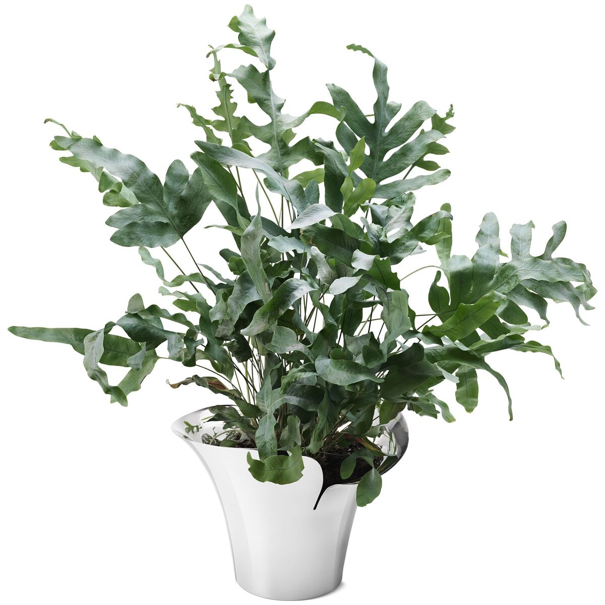 Bloom botanica blomsterpotte, medium, stål