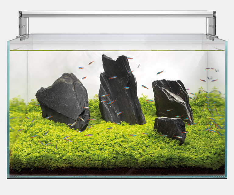 Superfish Scaper Aquarium 140 incl. ledverlichting en filter