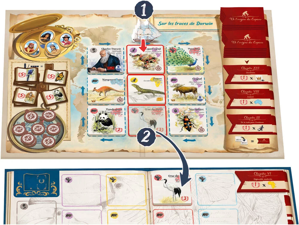 SUR LES TRACES DE DARWIN