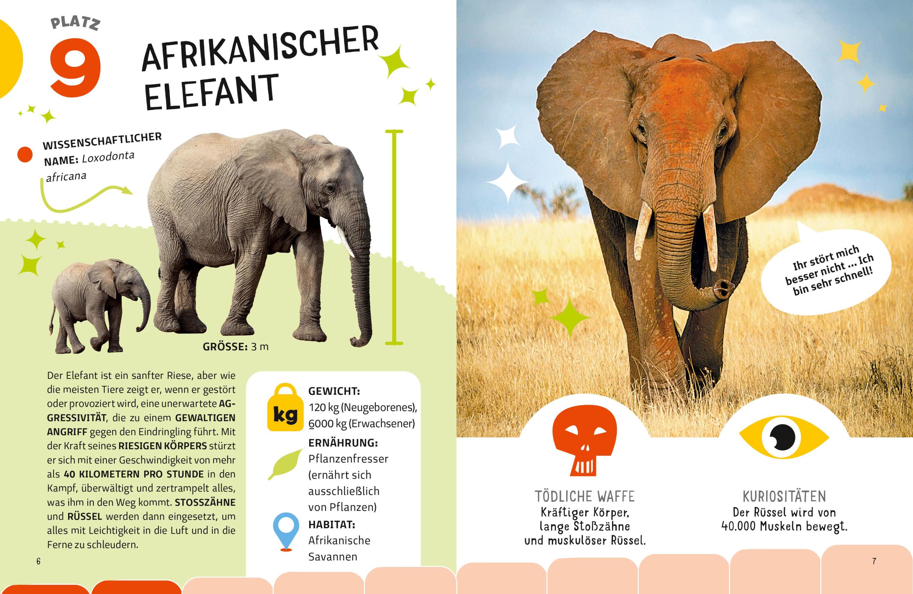 Die tödlichsten Tiere. Ein aufregendes Count-Down der gefährlichsten Tiere (Top Ten)