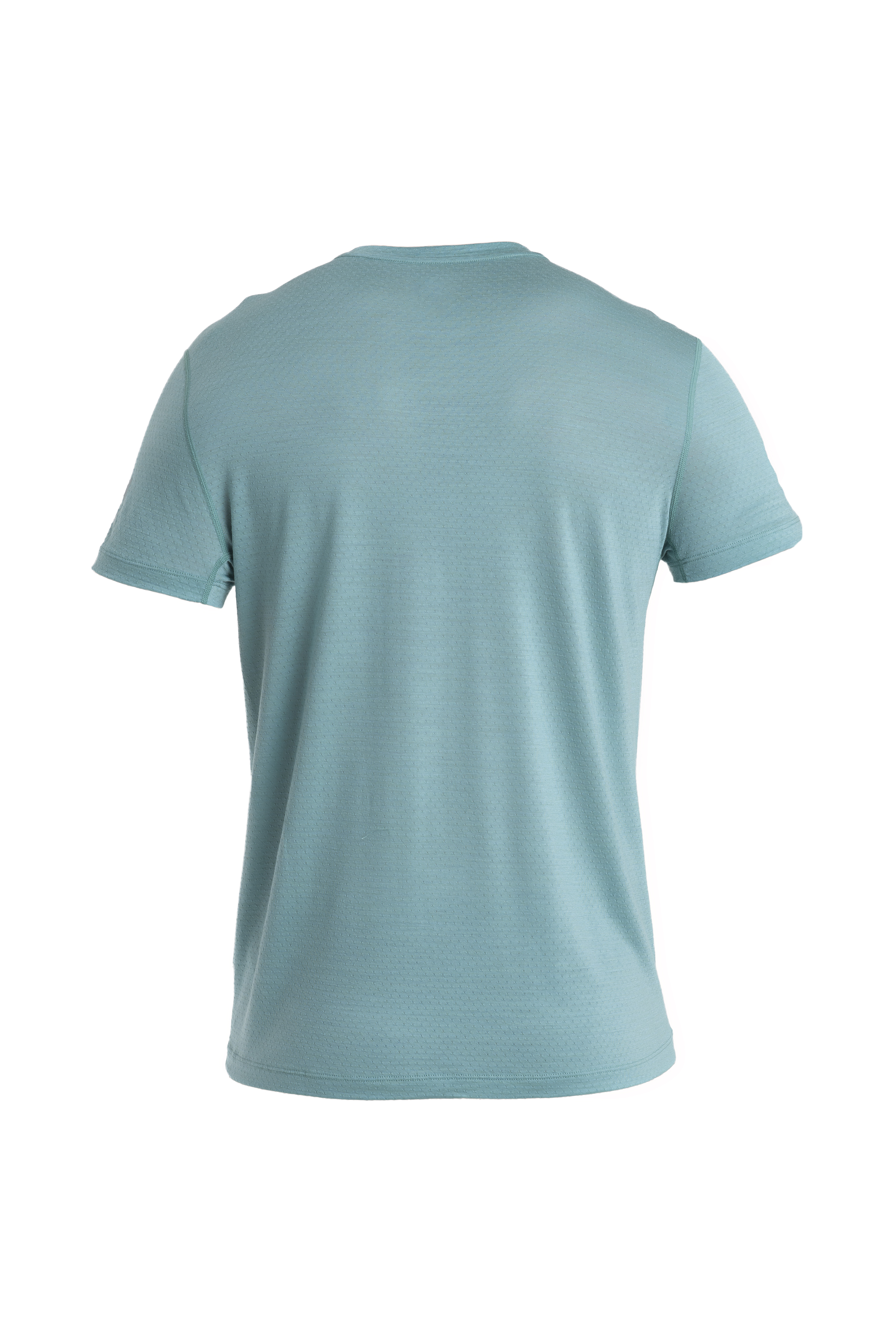 Men Merino 125 Cool-Lite Speed SS Tee