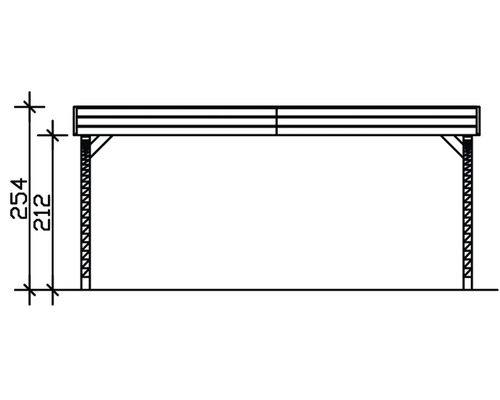 SKAN HOLZ Friesland dubbele carport met 2 inrijbogen en paalankers 557x555 cm geïmpregneerd