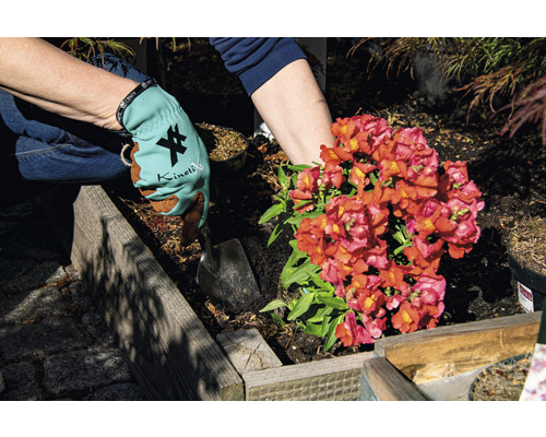 Tuinhandschoen KinetiXx X-Planter, maat M