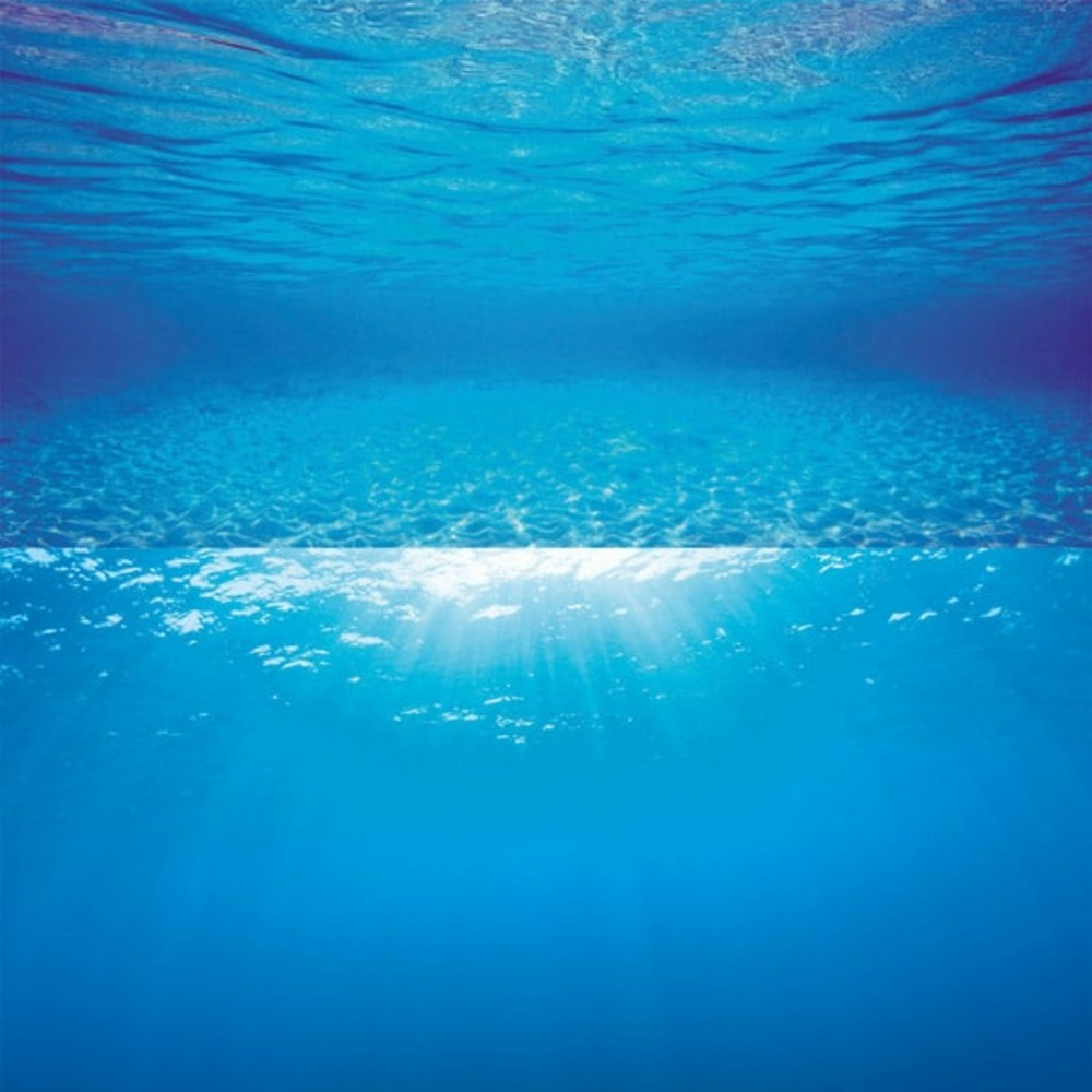 Poster de fond d'aquarium 2 l : 100 x 50cm