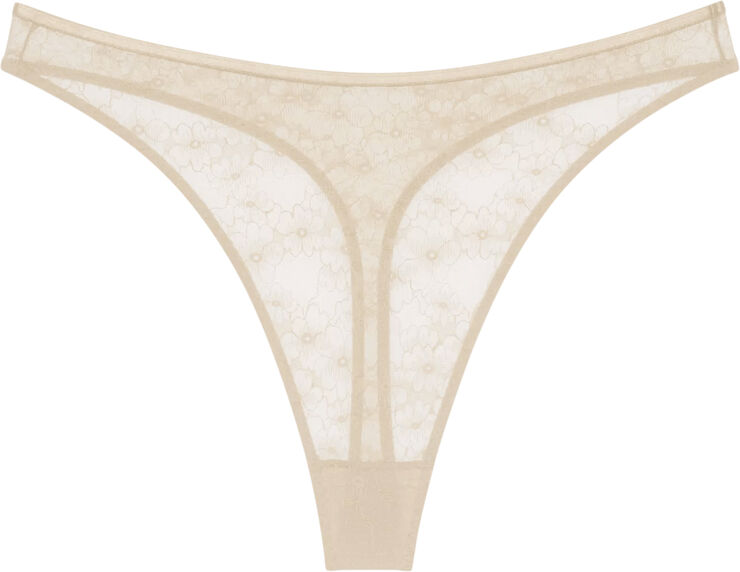 Triumph Bright Spotlight High Leg string 6720