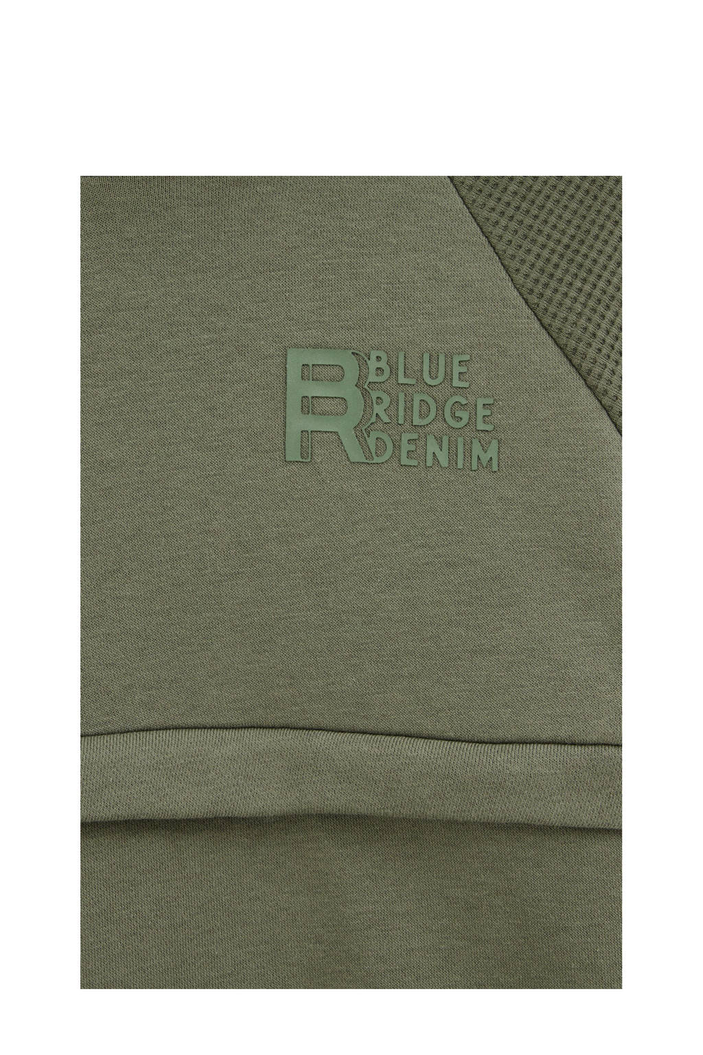 WE Fashion Blue Ridge hoodie olijfgroen