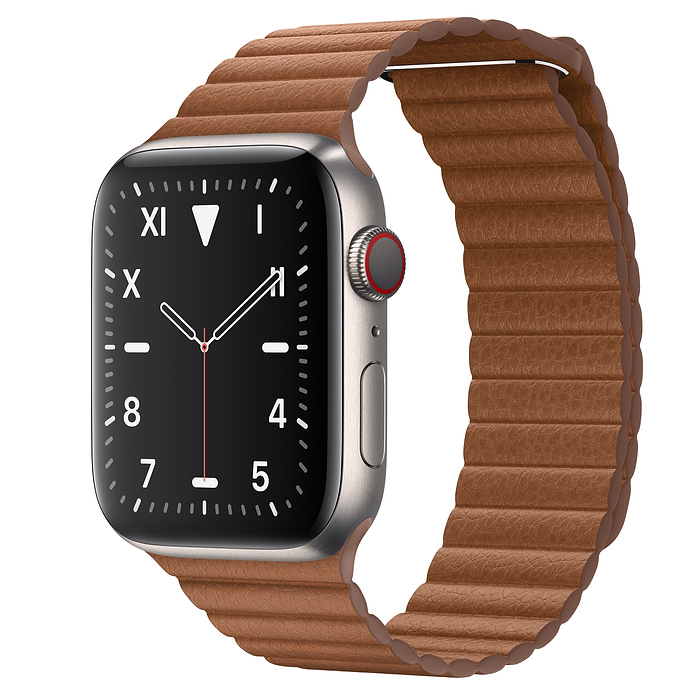 Apple Watch Series 5 Watch Edition (2019)