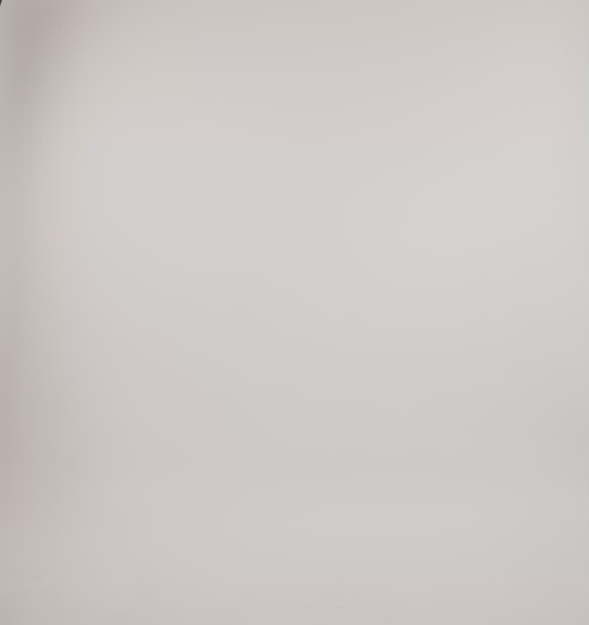 ORGANIC COTTON<br>Weekend Boxy Crewneck Sweatshirt