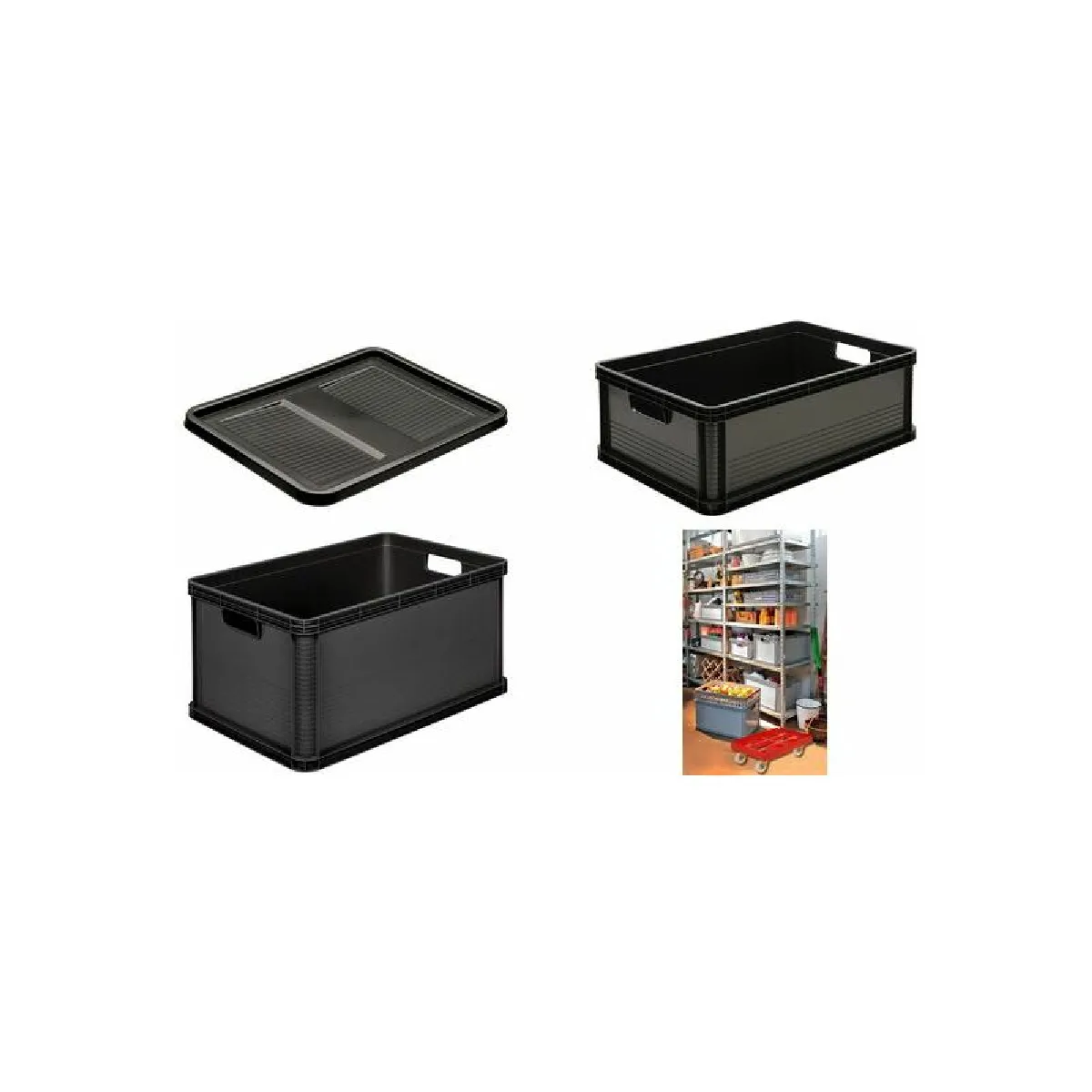 Caja de almacenaje Gris Grafito 20 l