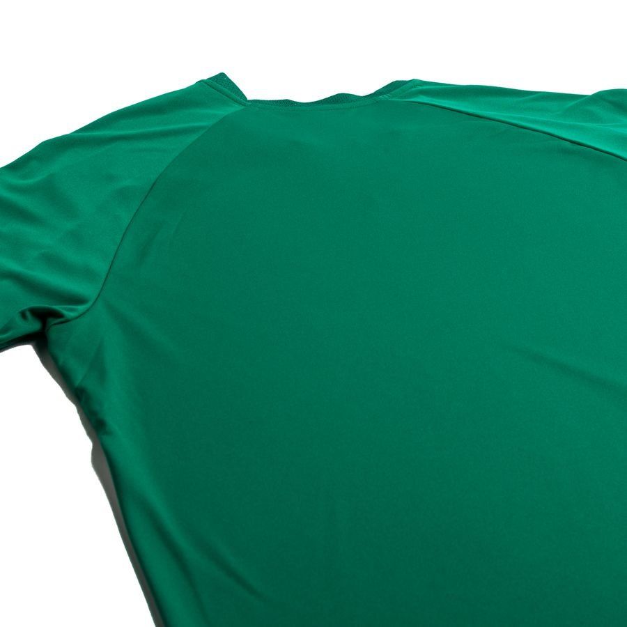 PUMA Maillot teamLIGA - Vert/Blanc