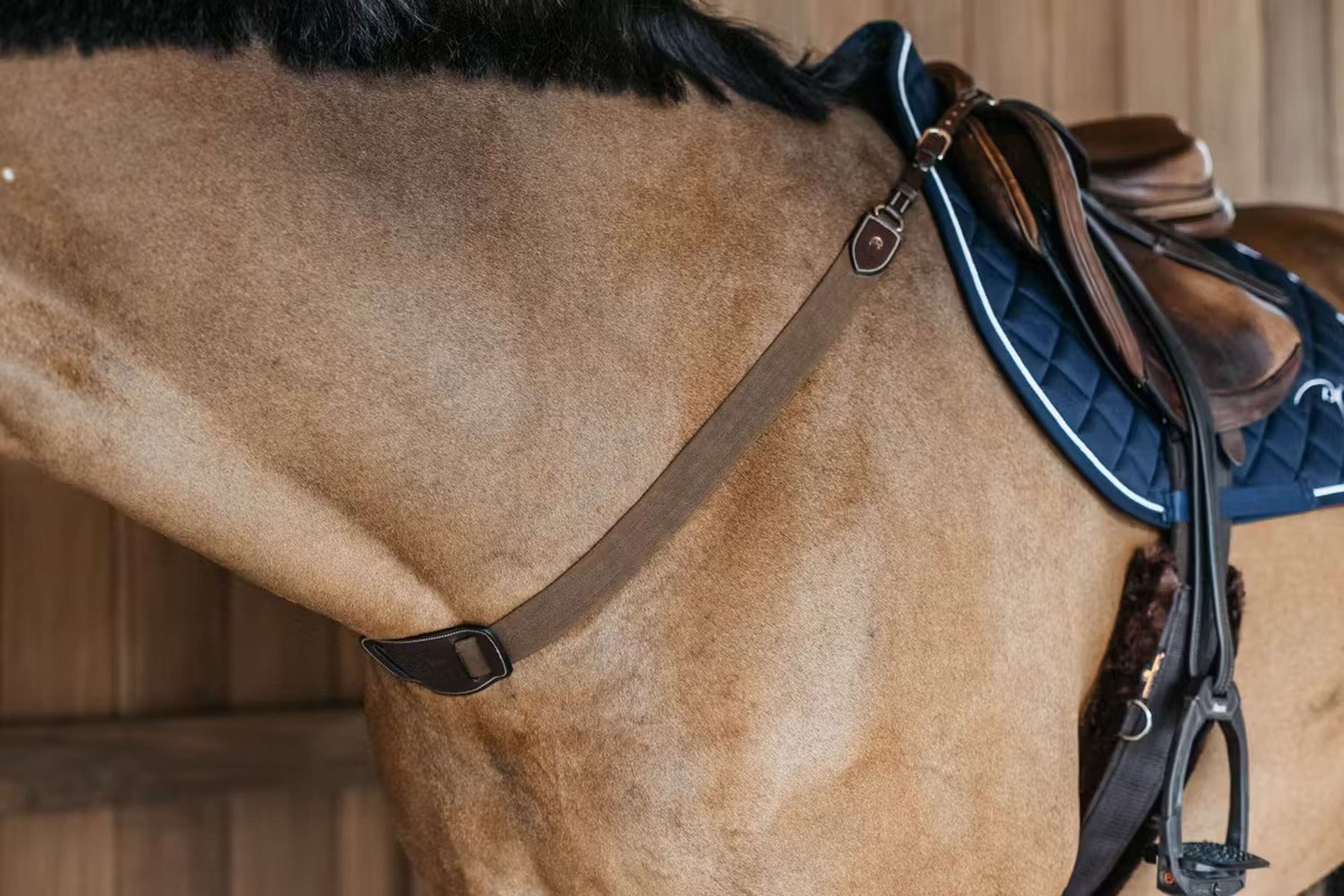 Dyon Borsttuig Elastic Bruin