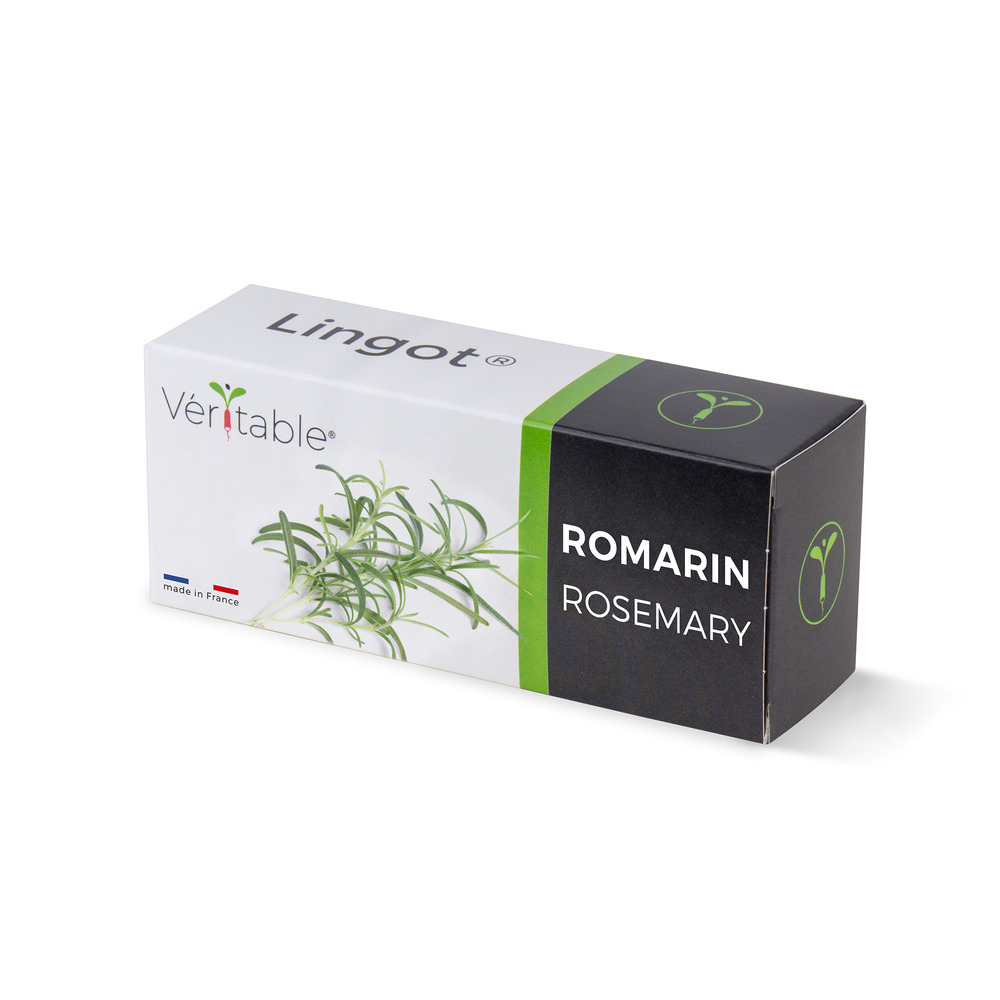 Lingot romarin - recharge prête à l'emploi