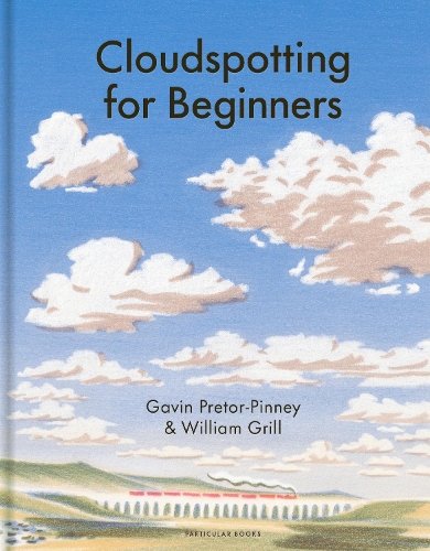 Cloudspotting For Beginners (Paperback)