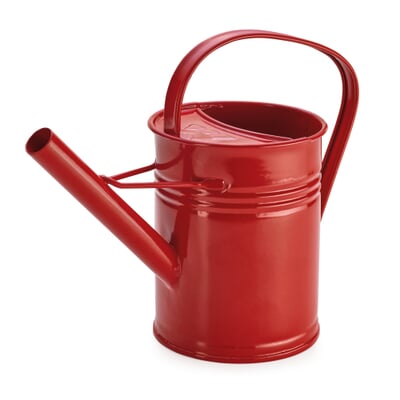 Kindergießkanne 1,5 Liter