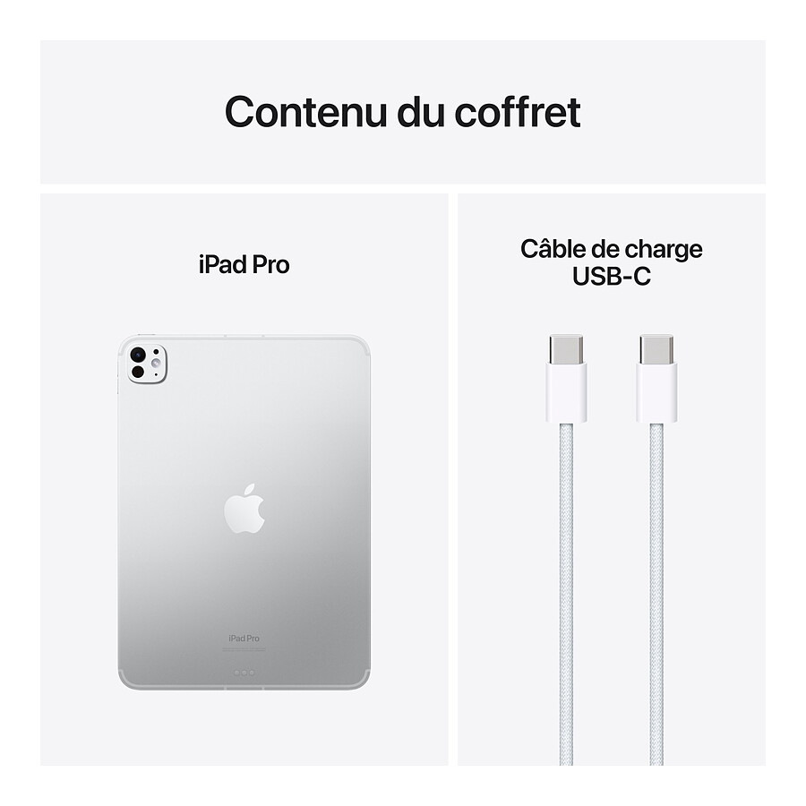 Apple iPad Pro M4 2024 13 pouces Wi-Fi + Cellular - 256 Go - Argent