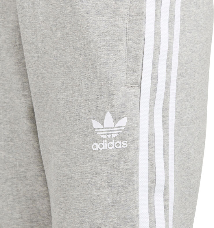 adidas Adicolor shorts Grå
