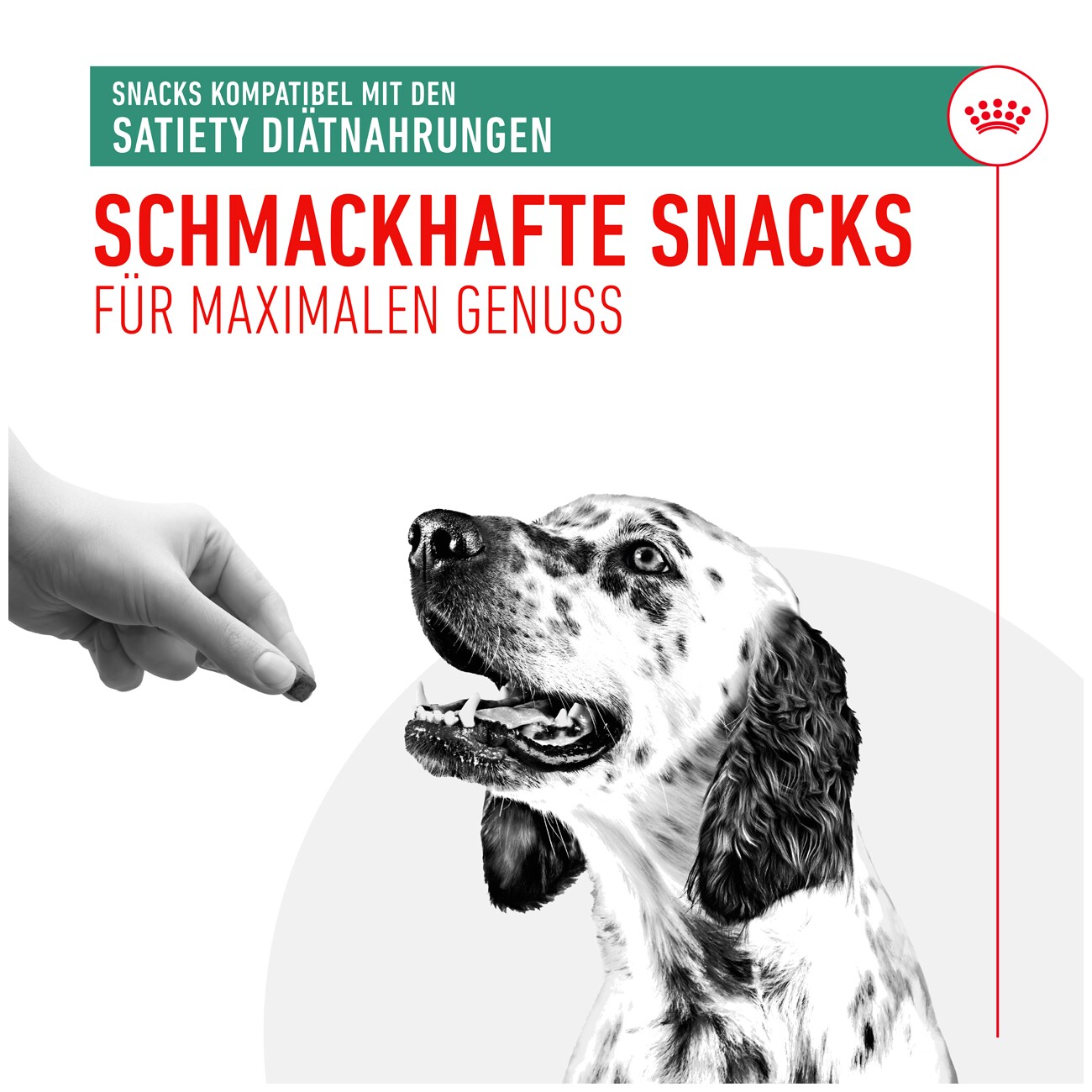 ROYAL CANIN Snacks Adult, Satiety