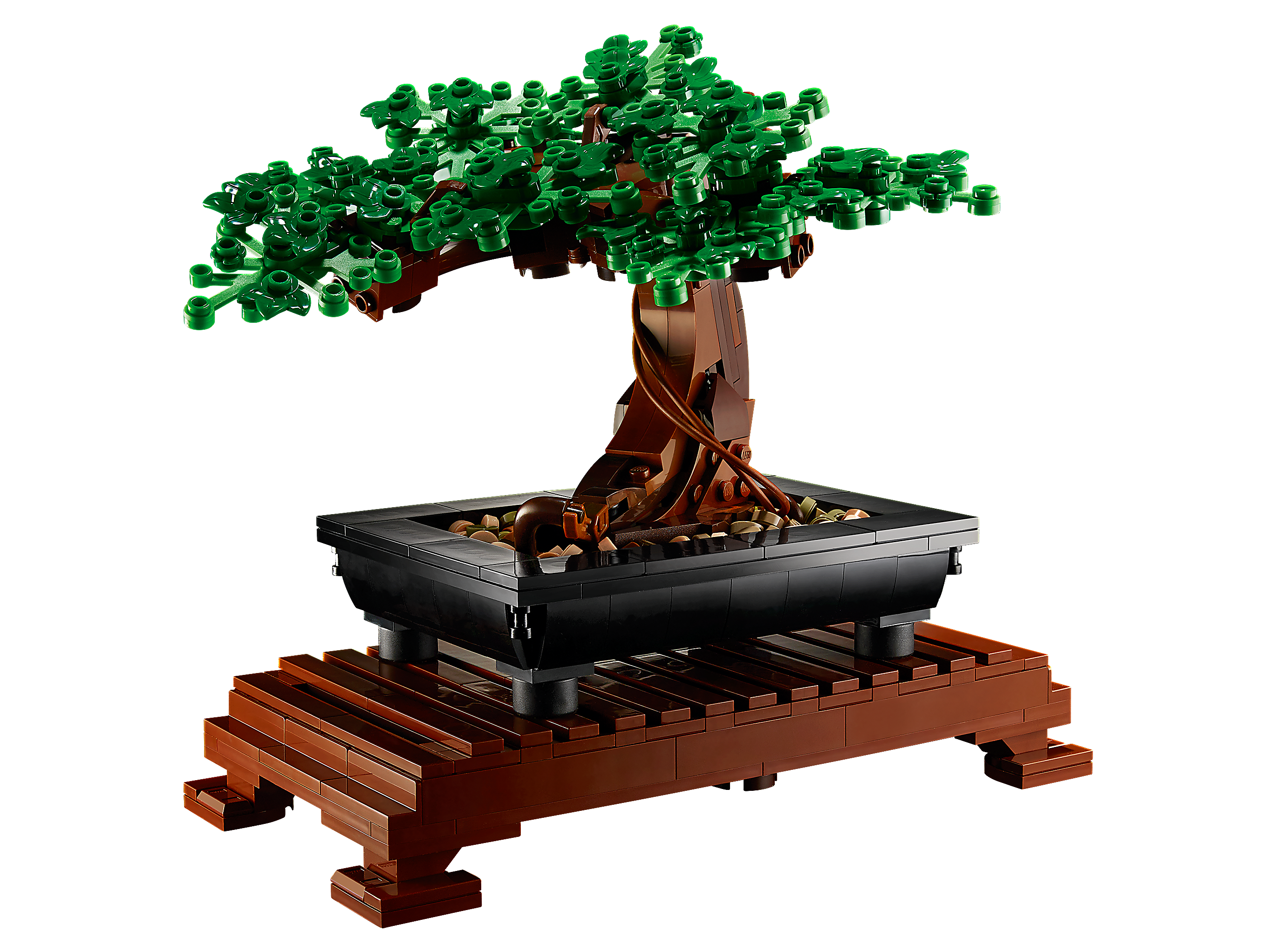 Bonsai 10281