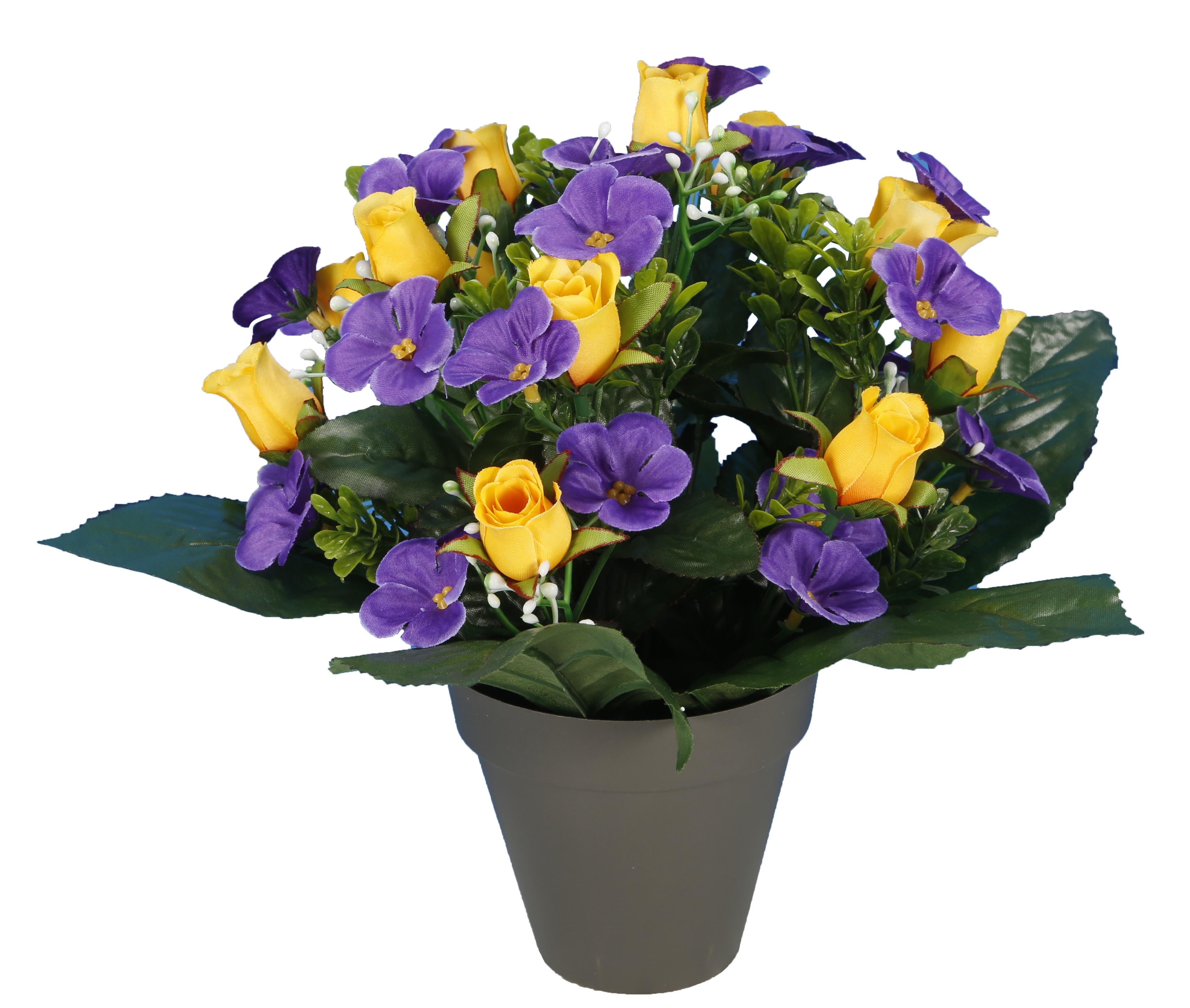 POT VIOLETTES ET BOUTONS ROSES