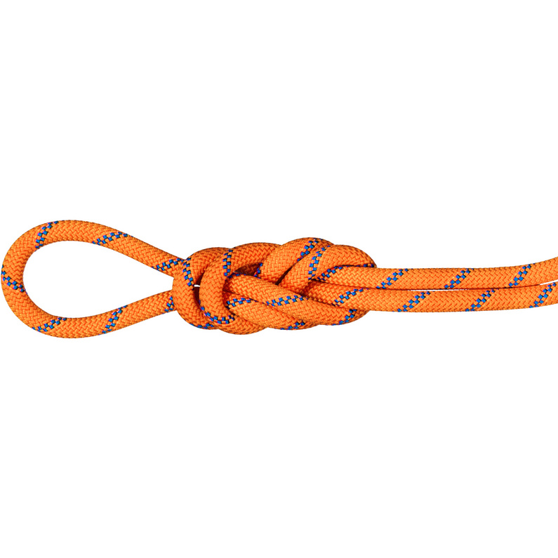 Mammut 9.0 Alpine Sender Dry Kletterseil