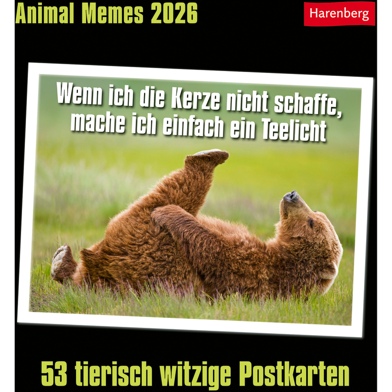Harenberg Tischkalender 2026 Animal Memes, 1 Monat / Seite