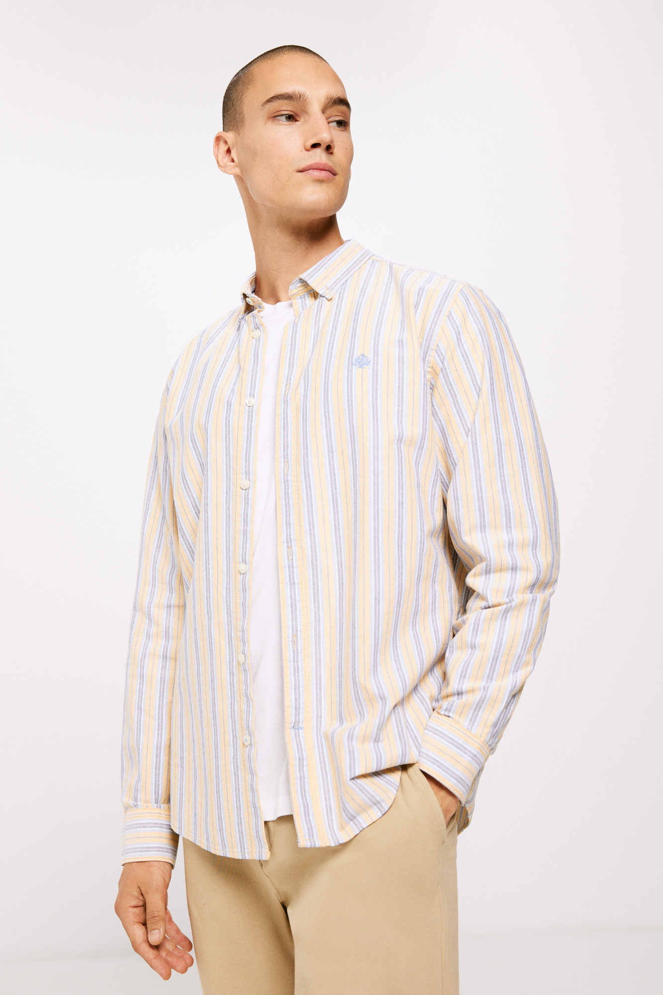 camisa polo oxford listrada