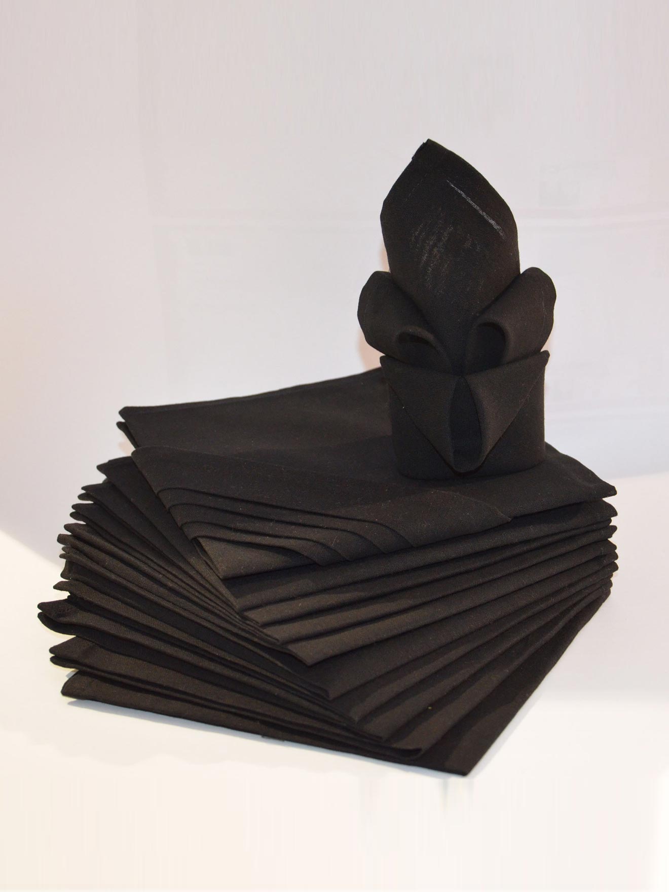 Lot de 12 serviettes ARC EN CIEL