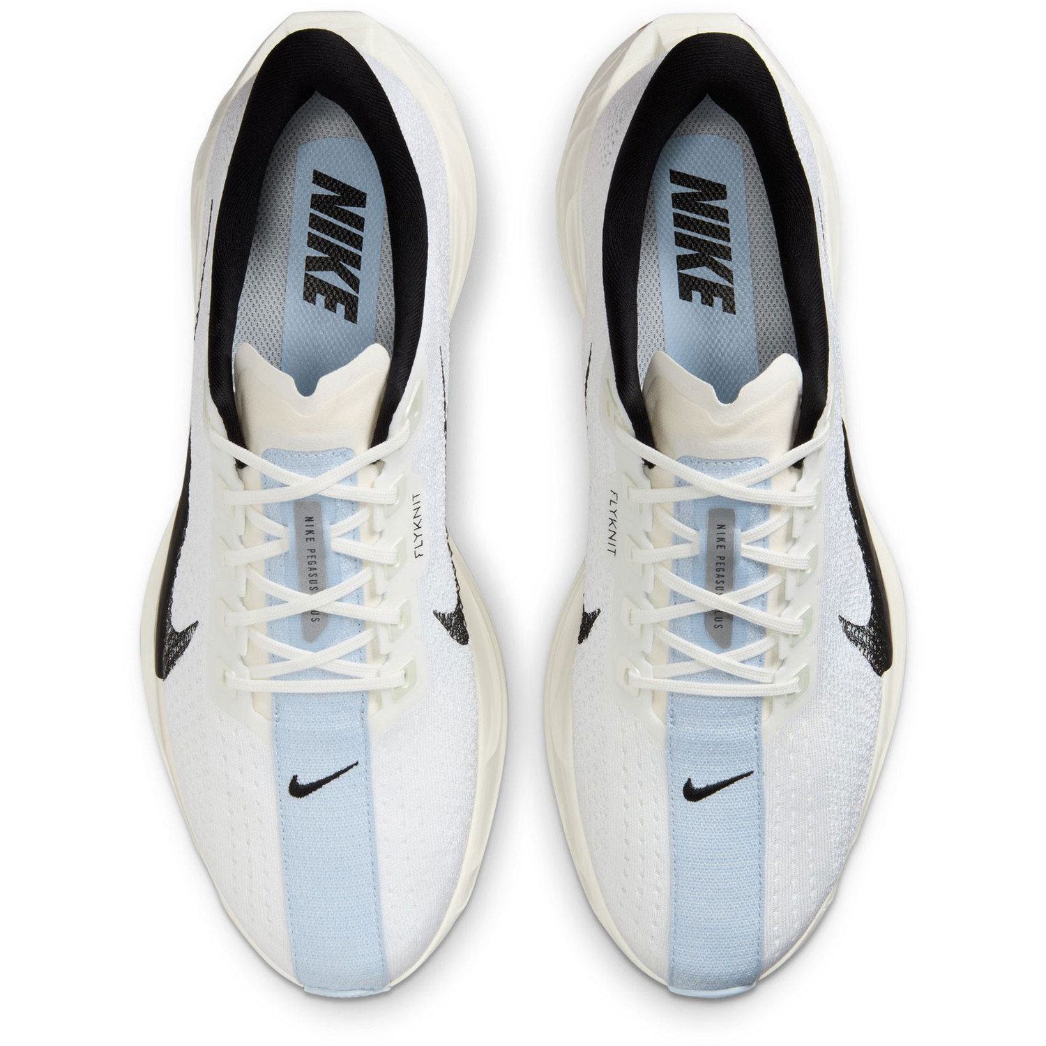 Nike Pegasus Plus Heren