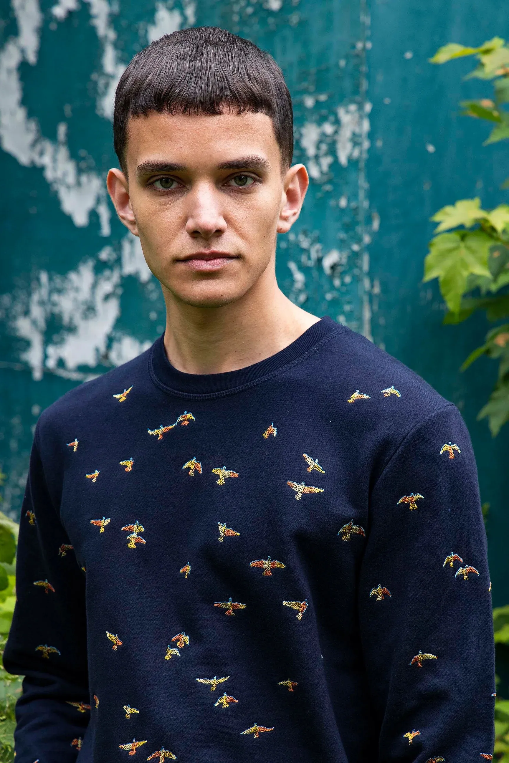 Sweat broderie oiseaux Misericordia